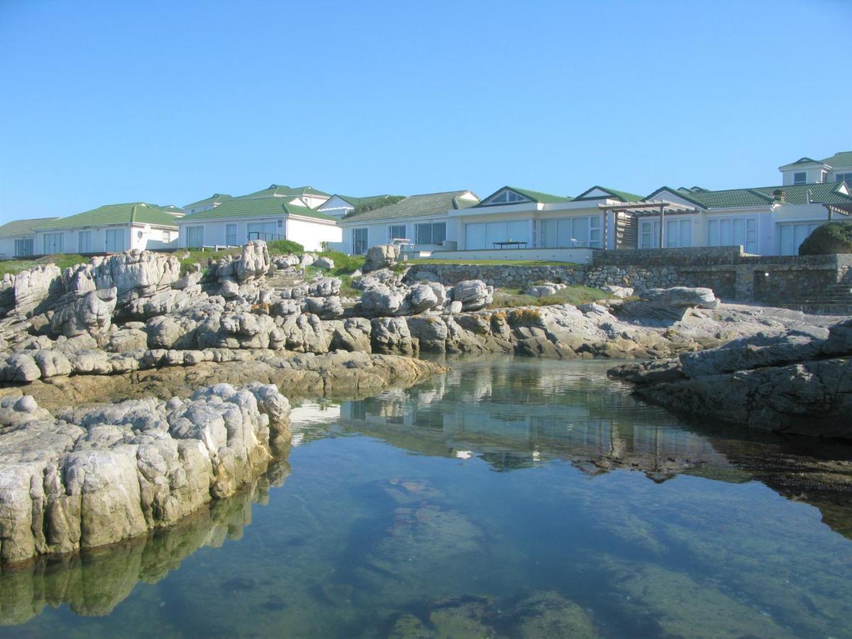 Beachfront House - Hermanus Whale View别墅 外观 照片
