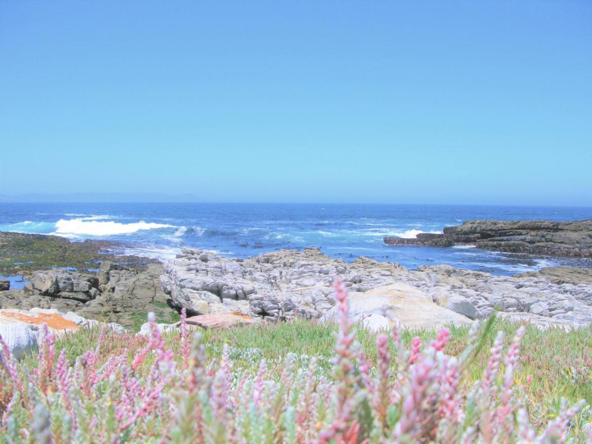 Beachfront House - Hermanus Whale View别墅 外观 照片