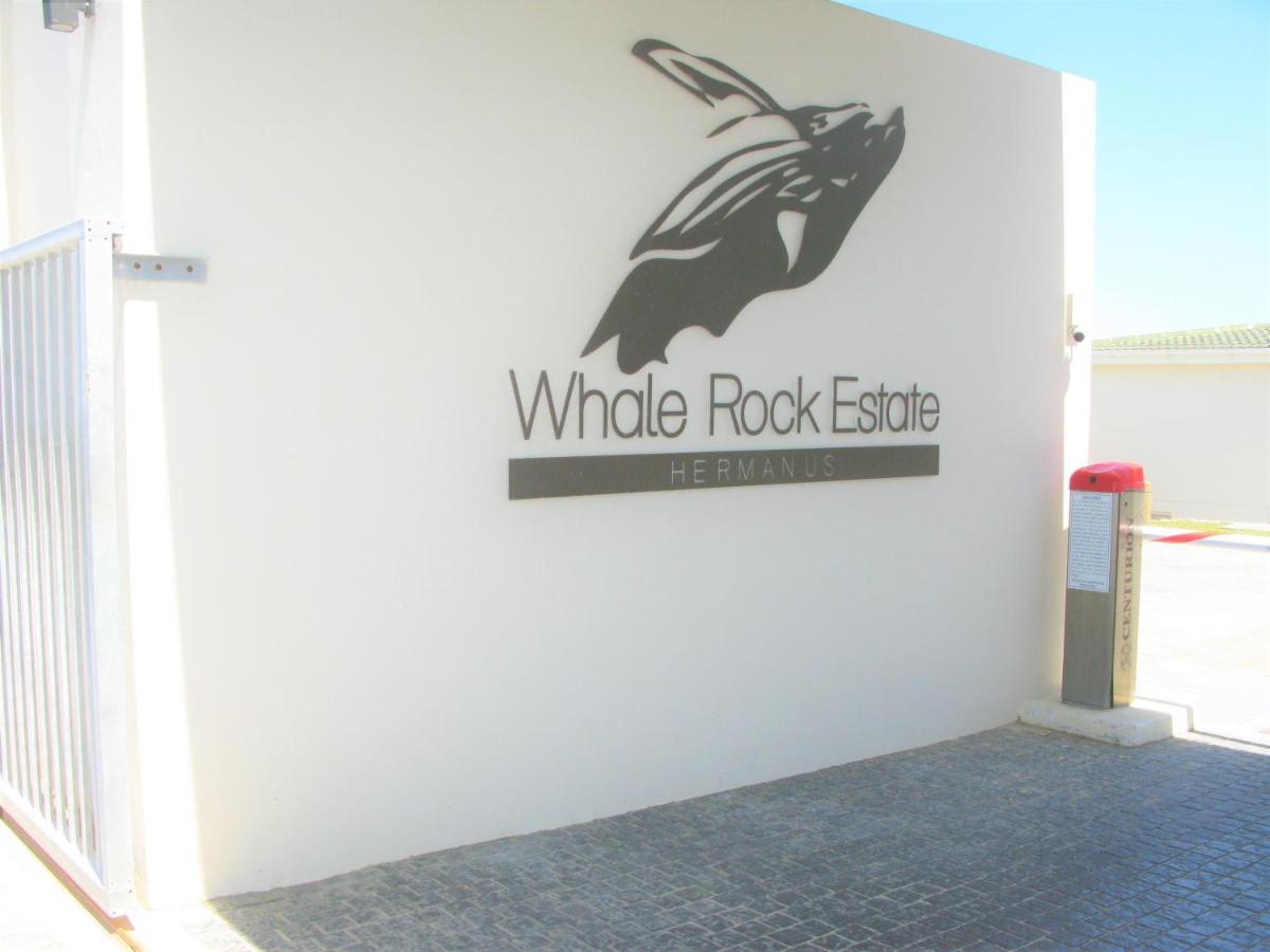 Beachfront House - Hermanus Whale View别墅 外观 照片