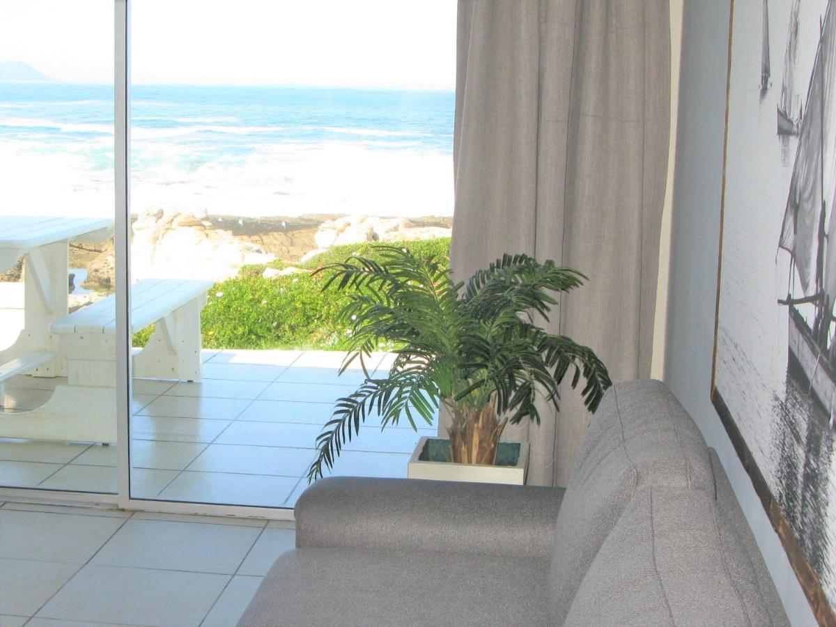 Beachfront House - Hermanus Whale View别墅 外观 照片