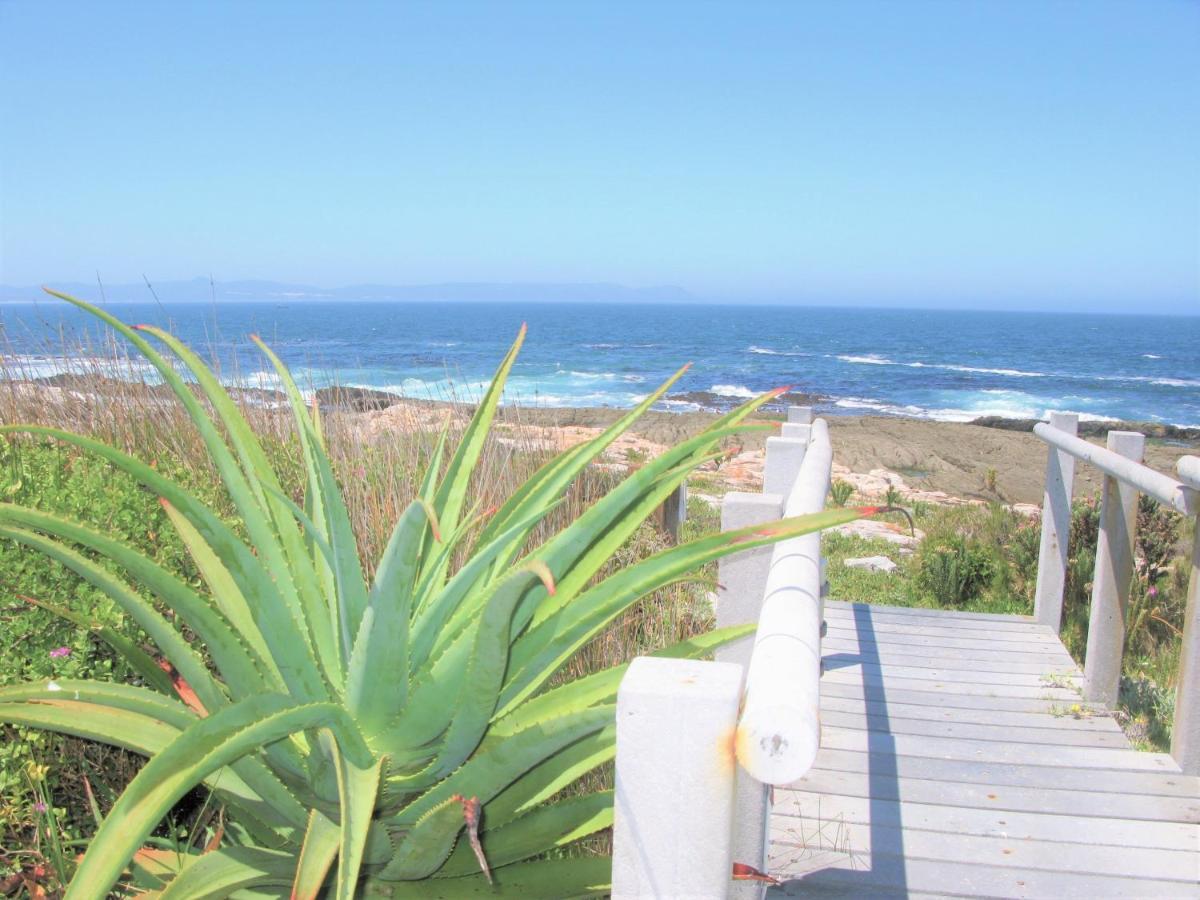 Beachfront House - Hermanus Whale View别墅 外观 照片