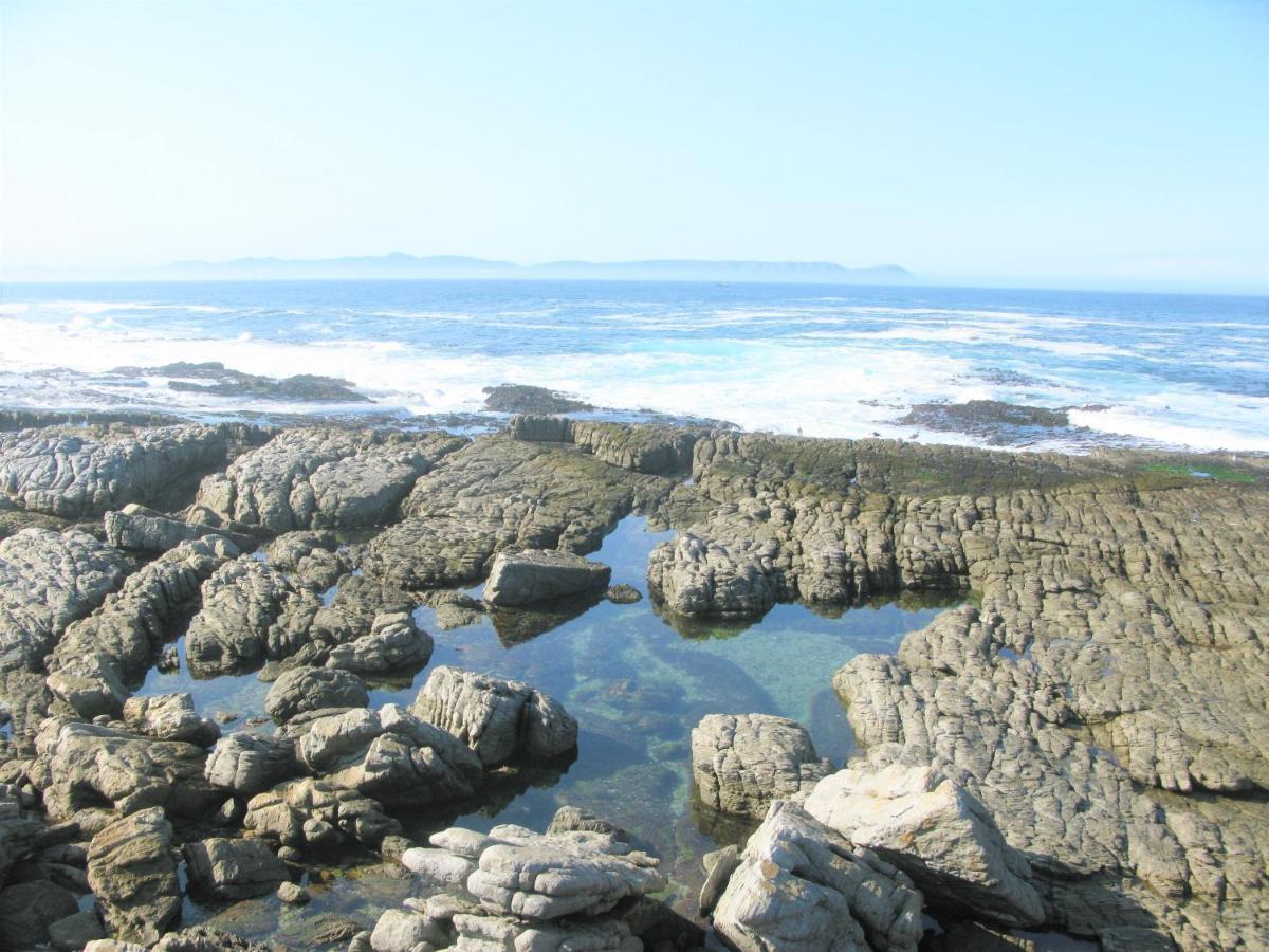 Beachfront House - Hermanus Whale View别墅 外观 照片