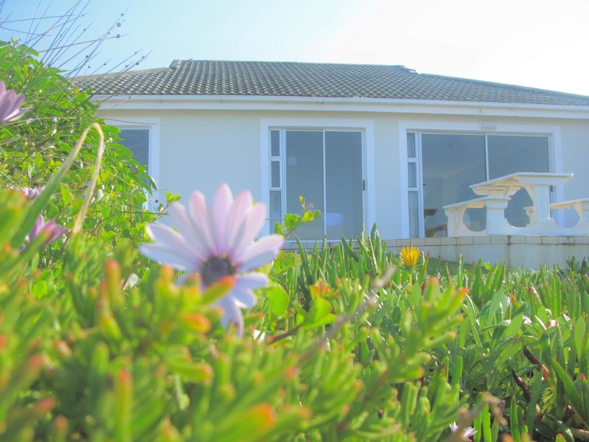 Beachfront House - Hermanus Whale View别墅 外观 照片