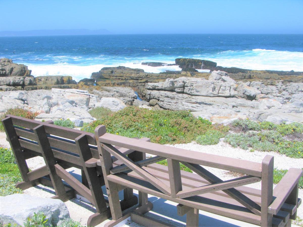 Beachfront House - Hermanus Whale View别墅 外观 照片